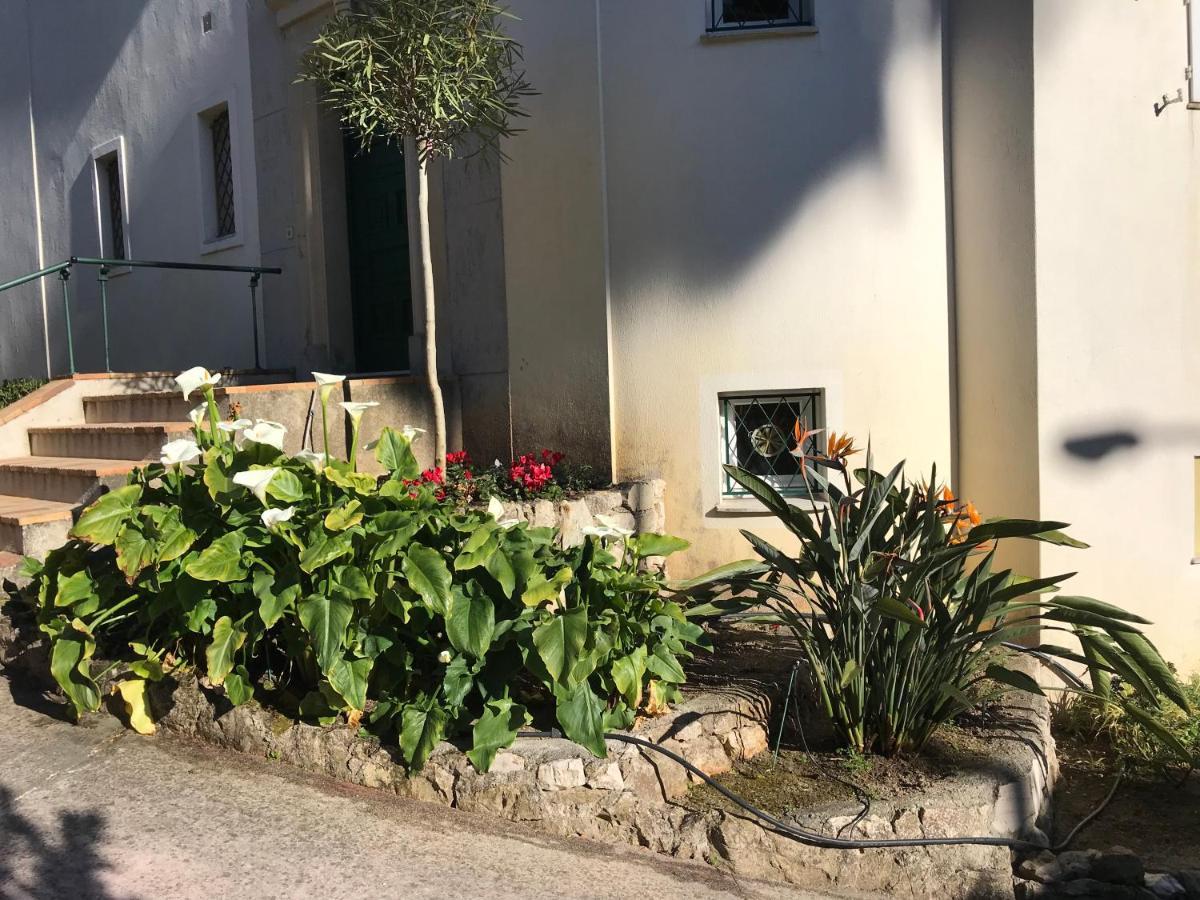 Appartement "L'Olivadou" St Jean Cap Ferrat à Saint-Jean-Cap-Ferrat Extérieur photo